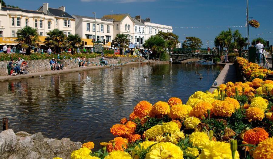 Dawlish Lawn View Lägenhet Exteriör bild